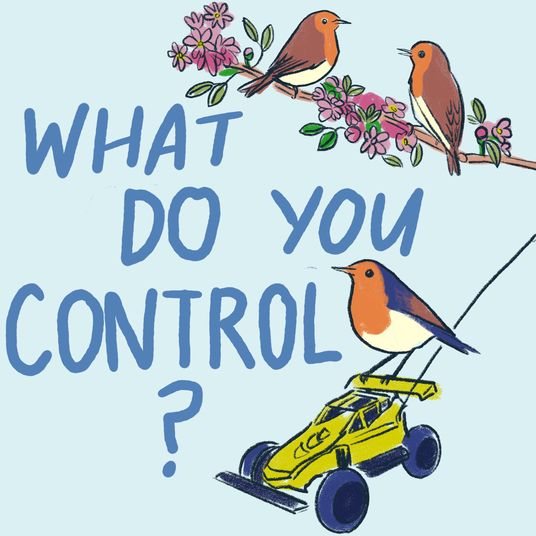 What do you control? If You Like